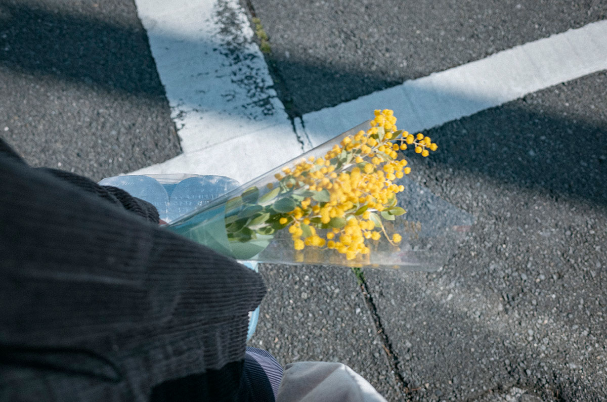近所のお花屋さんでミモザを買った帰り道