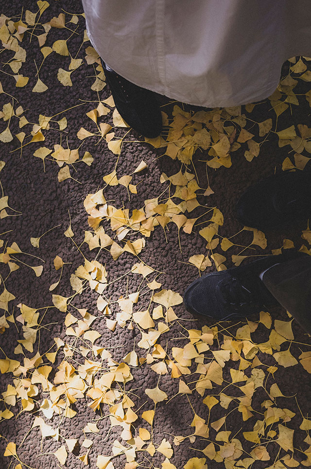 日比谷公園へ紅葉散策に行った日