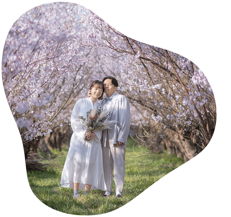 福島の花木団地の桜で撮った写真3