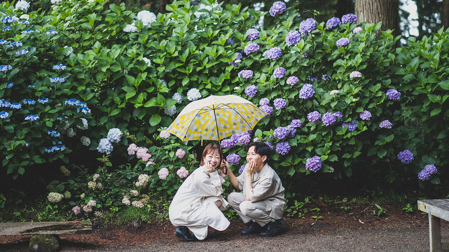 栃木の磯山神社で撮った紫陽花写真1