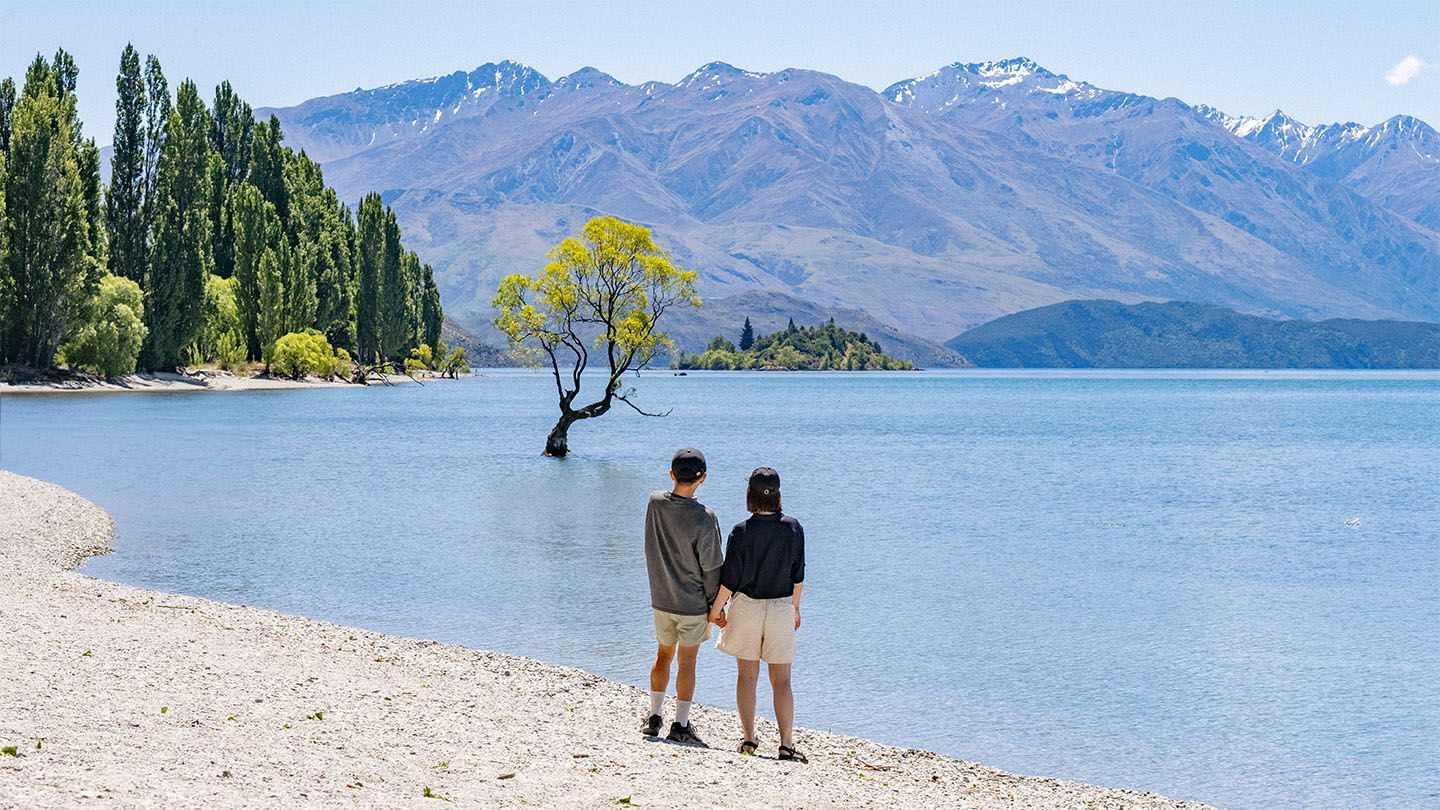 ニュージーランドのワナカツリーに行ったきおく